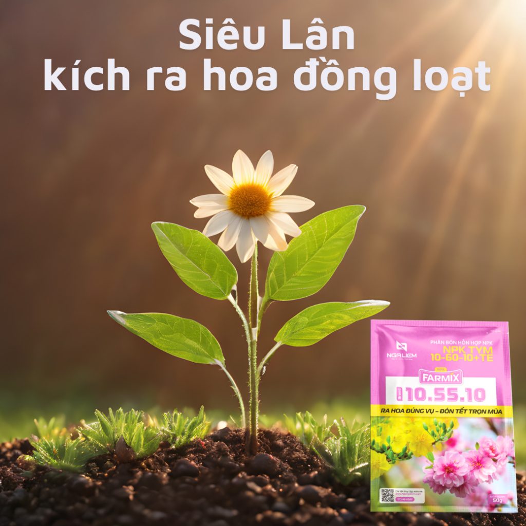 🌸 NPK 10-55-10+TE Farmix 50gram – Kích Hoa Nhanh, Nở Đồng Loạt, Đậu Trái Tốt