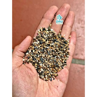 Sạn Suối - Cát Suối BiotopeTự Nhiên Cao Cấp Đã Rửa Sơ - Trang Trí Trải Nền Bể Cá, Bể Thủy Sinh