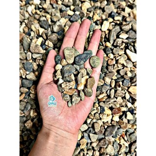 Sạn Suối - Cát Suối BiotopeTự Nhiên Cao Cấp Đã Rửa Sơ - Trang Trí Trải Nền Bể Cá, Bể Thủy Sinh