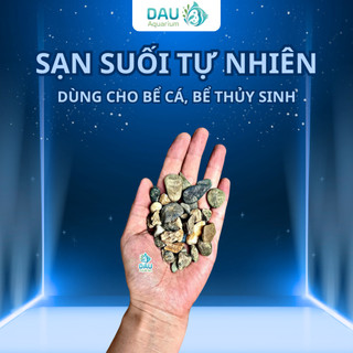 Sạn Suối - Cát Suối BiotopeTự Nhiên Cao Cấp Đã Rửa Sơ - Trang Trí Trải Nền Bể Cá, Bể Thủy Sinh