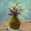 Quả Cầu Rêu Kokedama Huyết Dụ