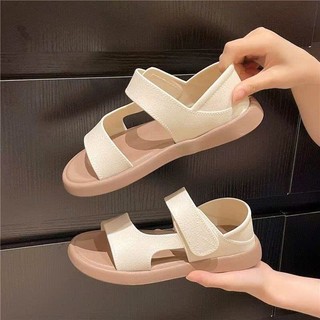 Sandal đi học, chất liệu cao su, phù hợp đi học , đi chơi, đi làm- 312