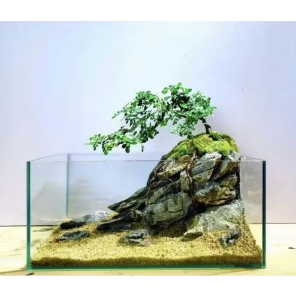 Cần Thăng Dáng Nghiêng Size Nhỏ