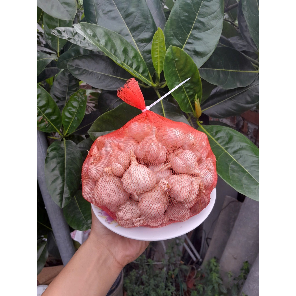 Tỏi bắc, tỏi khô, tỏi sạch nguyên chất, tỏi quê không chất bảo quản đã chọn lọc