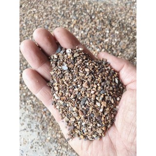 .. Sạn Suối / Sỏi Suối Thiên Nhiên – Trải Nền Hồ Cá, Tiểu Cảnh, Trang Trí Cực Đẹp .