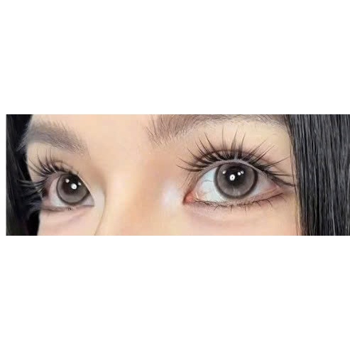 LeeVelvetLashes MUSE X94-MI GIẢ MUSE-mi giả dạng cụm cao cấp