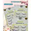 MI MUSE MG53 - MI HOTTREND----LeeVelvetLashes