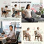 Ghế Chống Gù Gấp Gọn Công Thái Học Điều Chỉnh Tư Thế Ngồi Thẳng Lưng Dùng Cho Mọi Lứa Tuổi