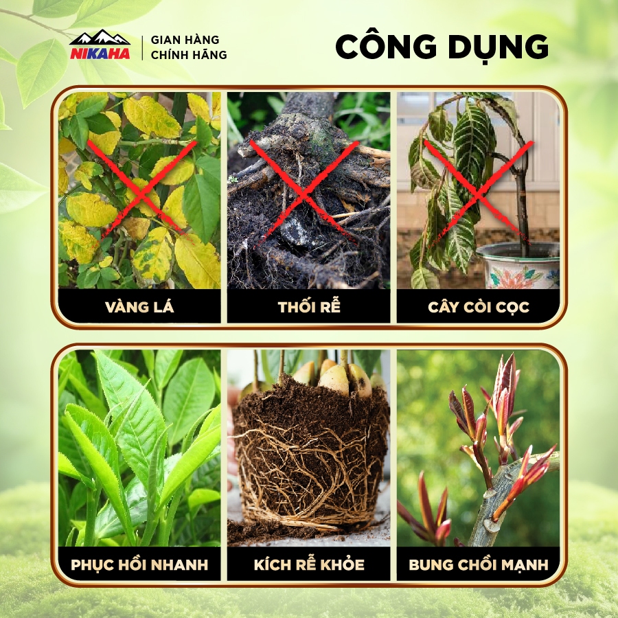 NIKAHA - Phân bón hữu cơ Kích Rễ Cây Cảnh, Rau màu, Kích chồi, Kích Hoa, Phục Hồi Cây Trồng - 100ml