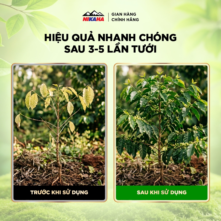 NIKAHA - Phân bón hữu cơ Kích Rễ Cây Cảnh, Rau màu, Kích chồi, Kích Hoa, Phục Hồi Cây Trồng - 100ml