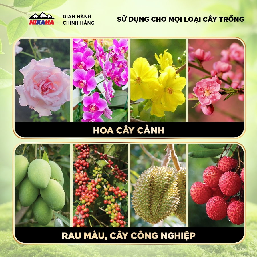 NIKAHA - Phân bón hữu cơ Kích Rễ Cây Cảnh, Rau màu, Kích chồi, Kích Hoa, Phục Hồi Cây Trồng - 100ml
