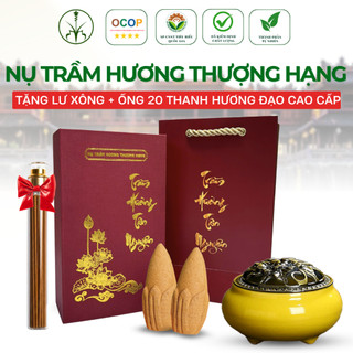 [OCOP 4 SAO - TẶNG LƯ XÔNG] Hộp 100 viên nụ trầm hương Tân Nguyên, thơm dịu, xông nhà, thanh lọc không khí, khử ẩm