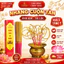 Nhang Vàng Ánh Kim Cuộn Tàn Số 6 An Khánh Không Hóa Chất Hộp 100 Nén Thơm Trầm Mùi Tết