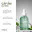 Bộ Đôi Kết Hợp Serum & Toner Phục Hồi Chuyên Sâu Hyperlis 82+ Cica & Heartleaf Cho Da Nhạy Cảm
