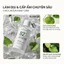 Bộ Đôi Kết Hợp Serum & Toner Phục Hồi Chuyên Sâu Hyperlis 82+ Cica & Heartleaf Cho Da Nhạy Cảm