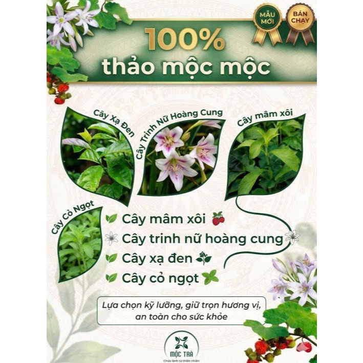 Trà Lá Mâm Xôi Tứ Vị Túi Lọc 35 Gói – Thảo Mộc Tự Nhiên, Tiện Lợi Mỗi Ngày