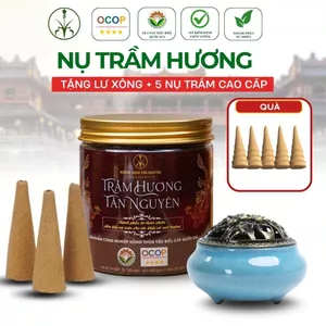 Hộp 100 viên nụ trầm hương Tân Nguyên, thơm dịu, xông nhà, thanh lọc không khí, khử ẩm