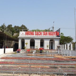 [OCOP 4 SAO - CAO CẤP] Ống 170 que hương nhang bài cao cấp Tân Nguyên, từ rễ cây hương bài, an toàn sức khỏe