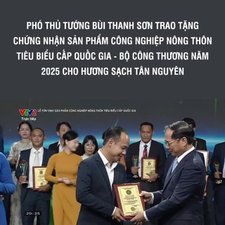 [OCOP 4 SAO - CAO CẤP] Túi 500gram hương trầm cao cấp Tân Nguyên, dài 38cm, trầm hương tự nhiên, không hóa chất