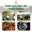 Hộp 45 viên nụ trầm hương thiên nhiên cao cấp Tân Nguyên, thơm tinh khiết
