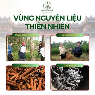 [OCOP 4 SAO - TẶNG LƯ XÔNG]  Hộp 100 Viên Nụ trầm Hương Tân Nguyên, trầm thiên nhiên, không hóa chất, xông nhà, khử mốc