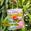 Set 10 túi đựng quà tổng kết trường, tổng kết lớp in chữ theo yêu cầu