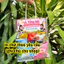 Set 10 túi đựng quà tổng kết trường, tổng kết lớp in chữ theo yêu cầu