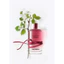 Nước Hoa Karl Lagerfeld Fleur de Murier 100ml