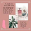 Nước Hoa Karl Lagerfeld Fleur de Murier 100ml