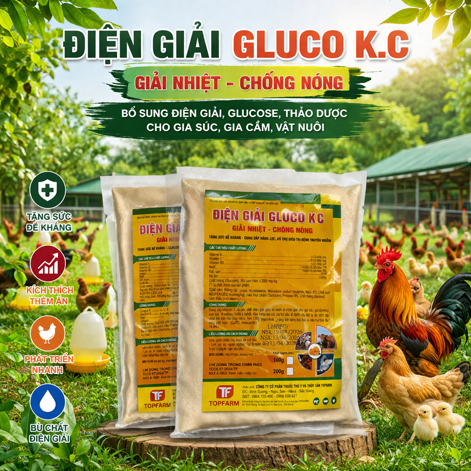 DG GLUCO K.C - Bổ Sung Năng Lượng, Giải Nhiệt, Chống Nắng Nóng Cho Vật Nuôi