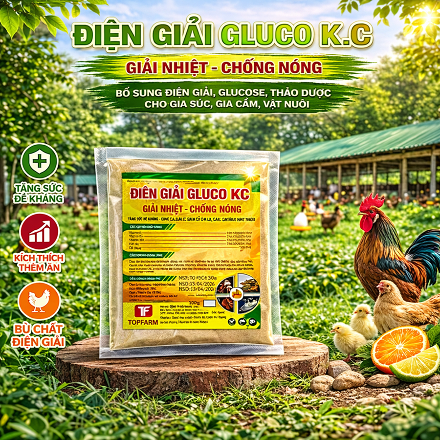 DG GLUCO K.C - Bổ Sung Năng Lượng, Giải Nhiệt, Chống Nắng Nóng Cho Vật Nuôi