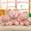 Gấu Bông Heo Hồng Quý Tộc – Phiên Bản Giới Hạn Happy Day – Sự Kết Hợp Hoàn Hảo Giữa Đáng Yêu Và Sang Trọng