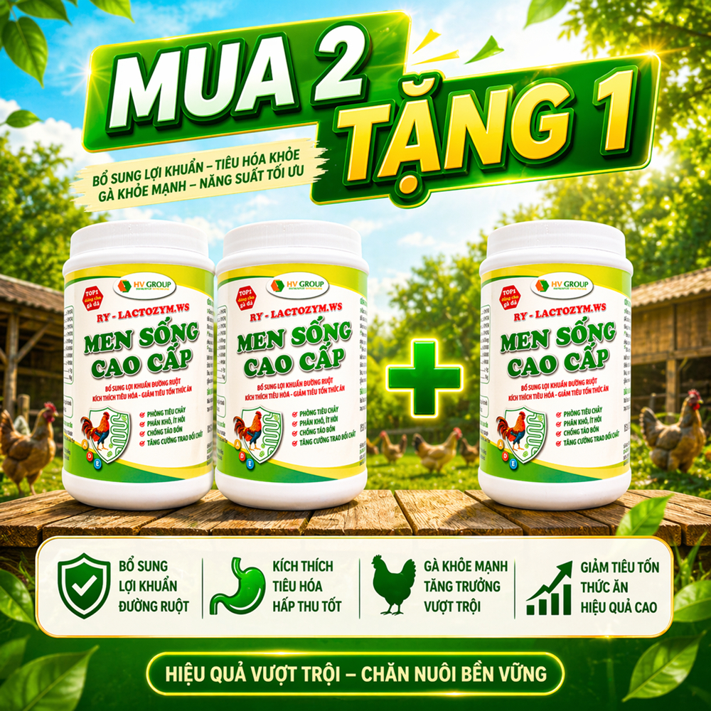 Men sống cao cấp 500g  bổ sung lợi khuẩn đường ruột, kích thích tiêu hóa - giảm tiêu tốn thức ăn, phòng tiêu chảy, phân