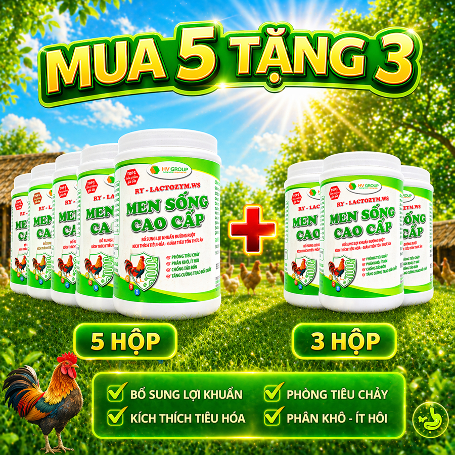 Men sống cao cấp 500g  bổ sung lợi khuẩn đường ruột, kích thích tiêu hóa - giảm tiêu tốn thức ăn, phòng tiêu chảy, phân