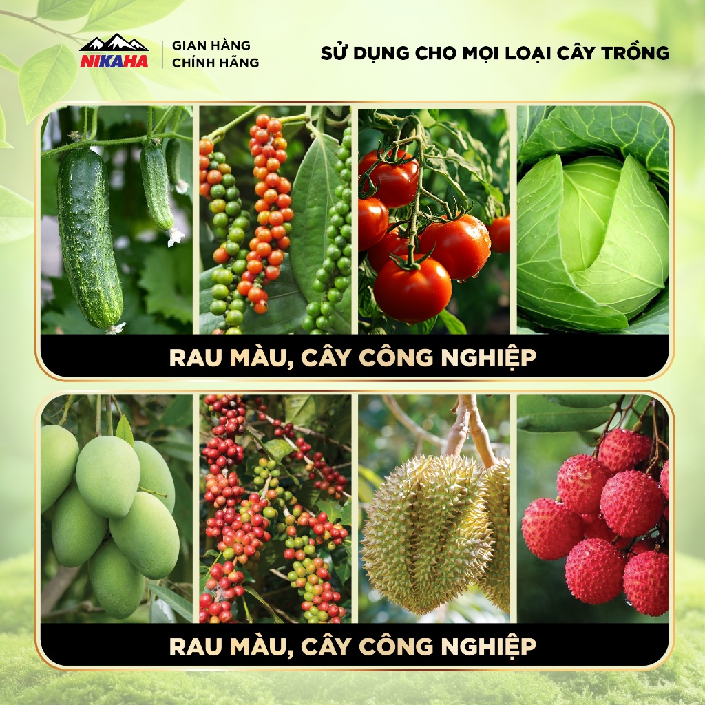 NIKAHA - Phân bón hữu cơ Canxi - Bo - Ga3, Siêu Đậu Trái, Tăng Thụ Phấn, To quả, Đẹp Màu - 1000ml
