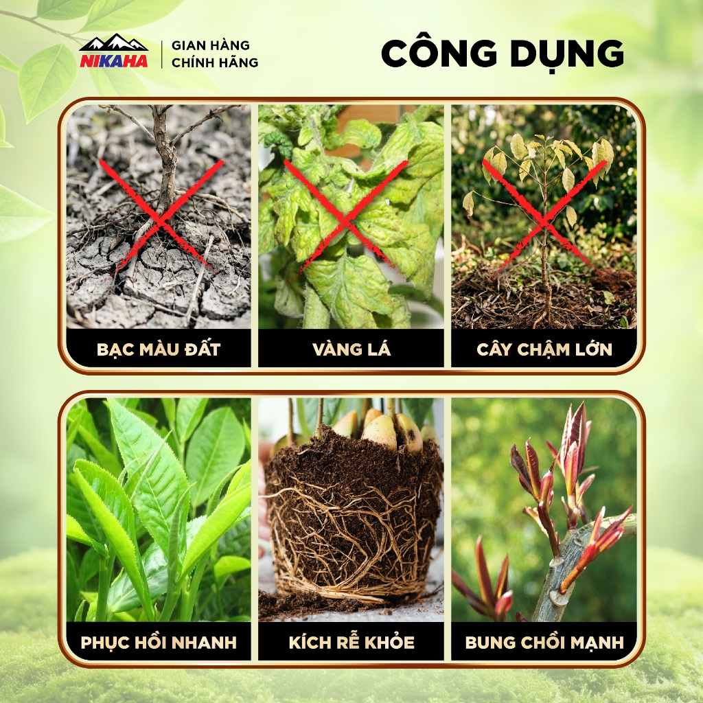NIKAHA - Phân bón hữu cơ Canxi - Bo - Ga3, Siêu Đậu Trái, Tăng Thụ Phấn, To quả, Đẹp Màu - 1000ml