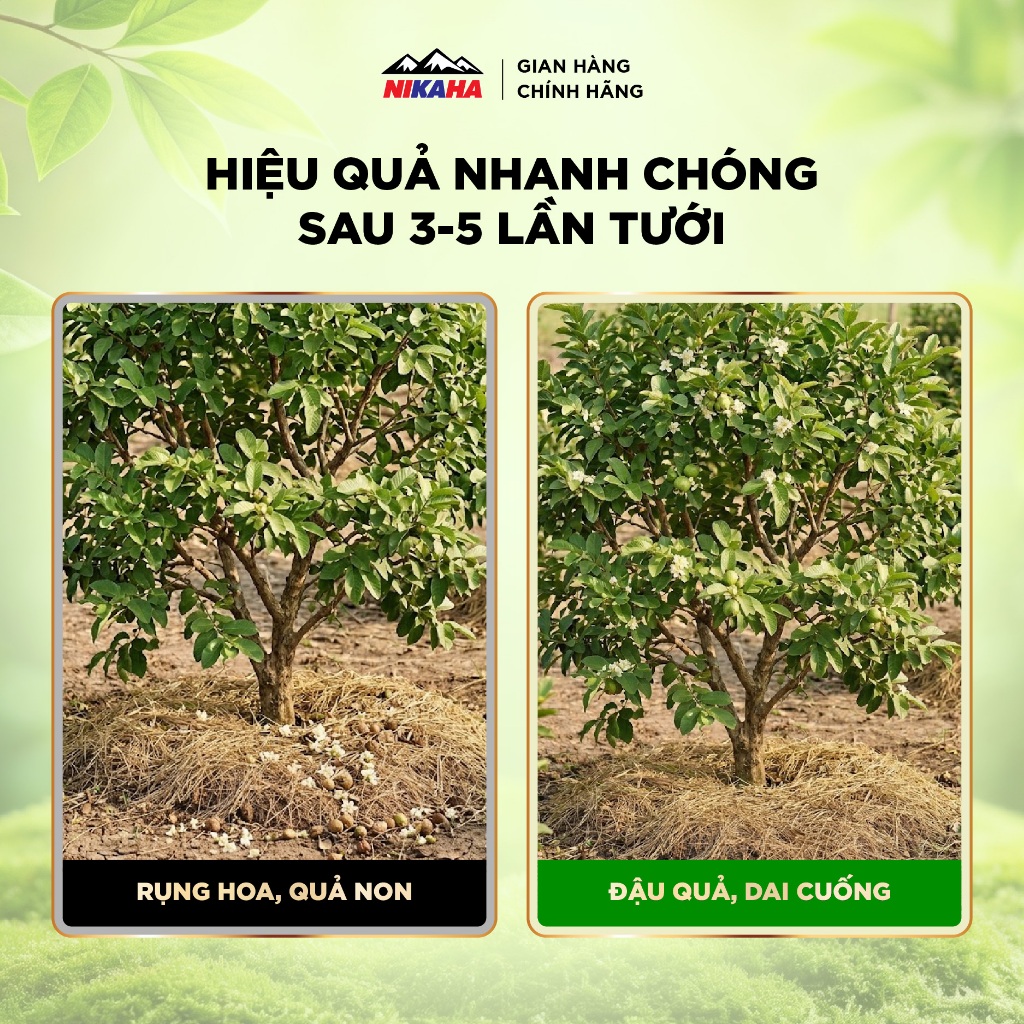 NIKAHA - Phân bón hữu cơ Canxi - Bo - Ga3, Siêu Đậu Trái, Tăng Thụ Phấn, To quả, Đẹp Màu - 1000ml