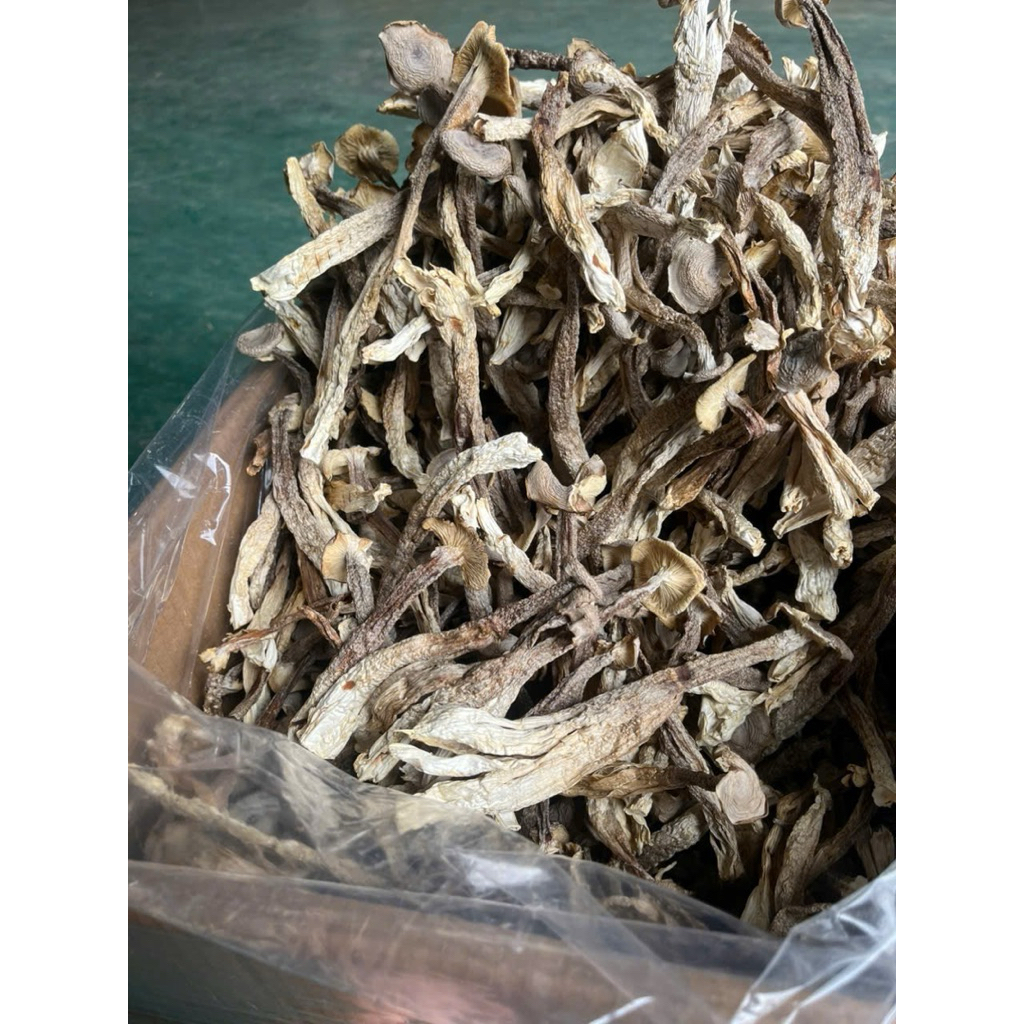 Nấm Lộc Nhung Khô Nguyên Cây (MỚI - ĐẸP) - Nấm khô dài đẹp, không vụn