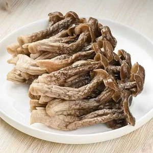 Nấm Lộc Nhung Khô Nguyên Cây (MỚI - ĐẸP) - Nấm khô dài đẹp, không vụn