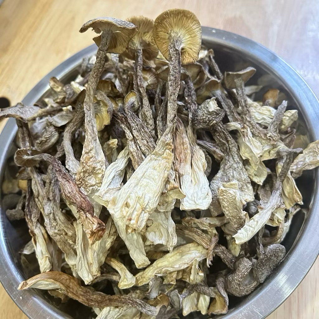 Nấm Lộc Nhung Khô Nguyên Cây (MỚI - ĐẸP) - Nấm khô dài đẹp, không vụn