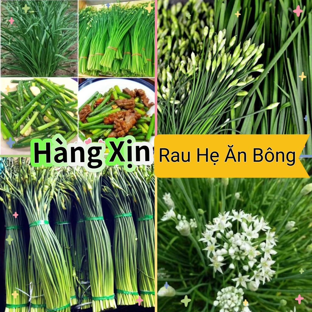 Hạt Giống Rau Lá Hẹ Ăn Bông♥️ Cực Ngon, Hàng Chọn Lọc Năng Suất Cao