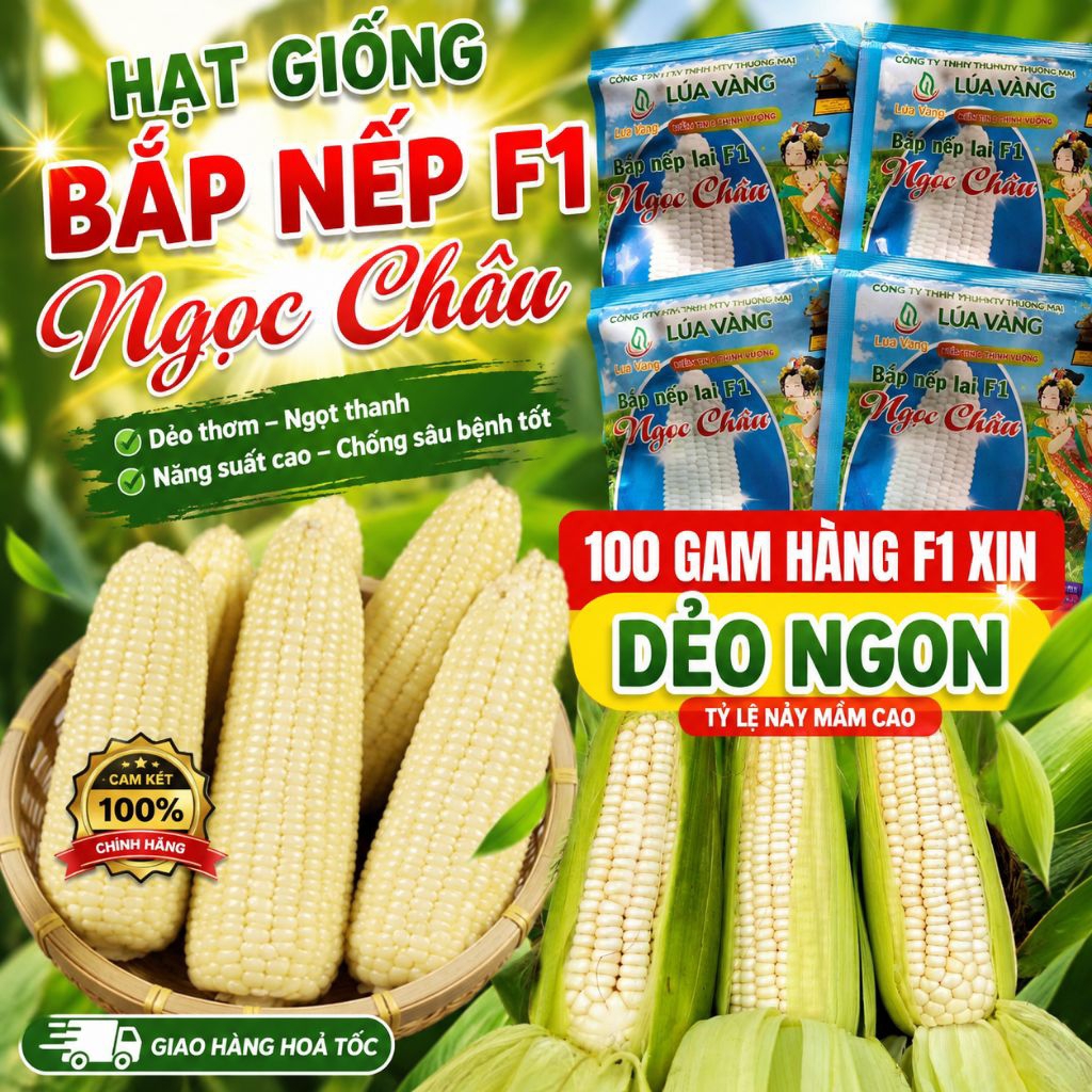 100 Gam Hạt Giống Ngô Nếp Lai Ngọc Châu, Hàng Công Ty Chất Lượng Cao