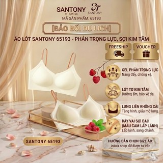 Áo Lót Phản Trọng Lực Santony 65193 - Sợi Kim Tằm Thượng Lưu, Lưng Liền Ép Nhiệt PIER N°5
