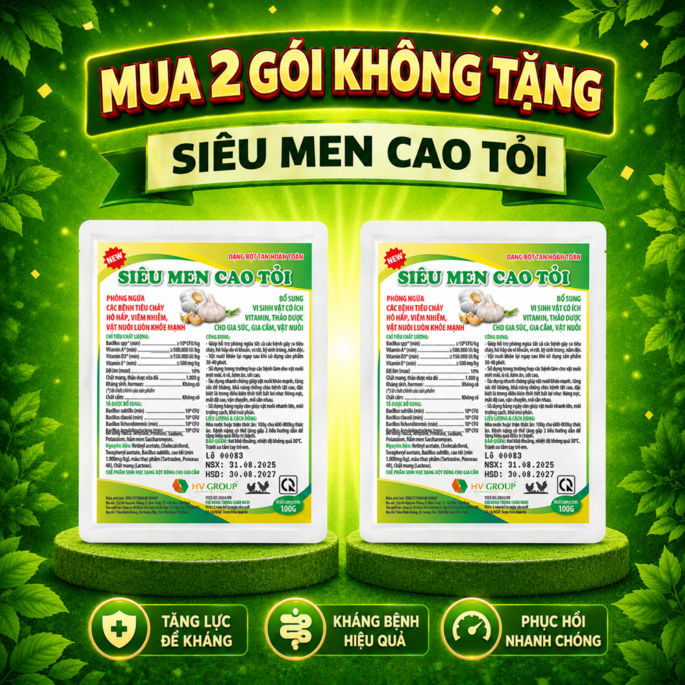 Men sống cao tỏi tăng đề kháng, phòng tiêu chảy - chướng diều, gà mau tiêu gói 100g