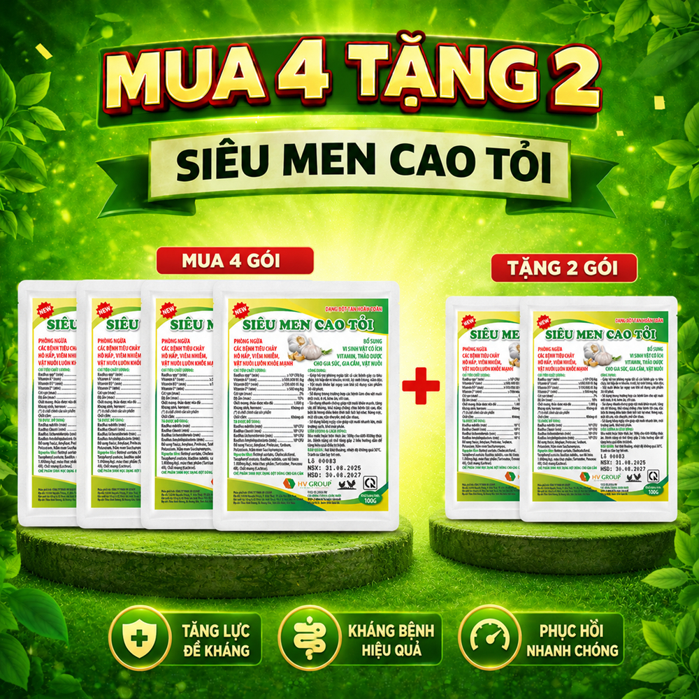 Men sống cao tỏi tăng đề kháng, phòng tiêu chảy - chướng diều, gà mau tiêu gói 100g