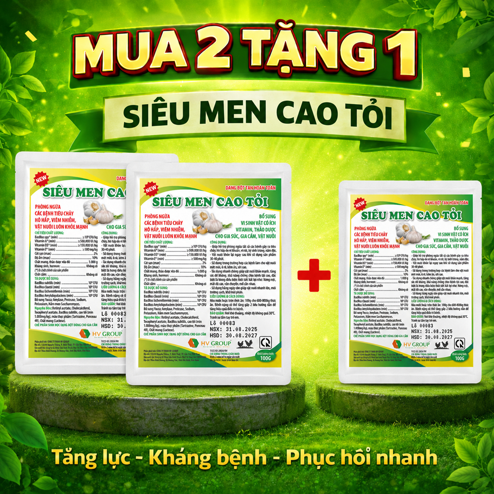 Men sống cao tỏi tăng đề kháng, phòng tiêu chảy - chướng diều, gà mau tiêu gói 100g