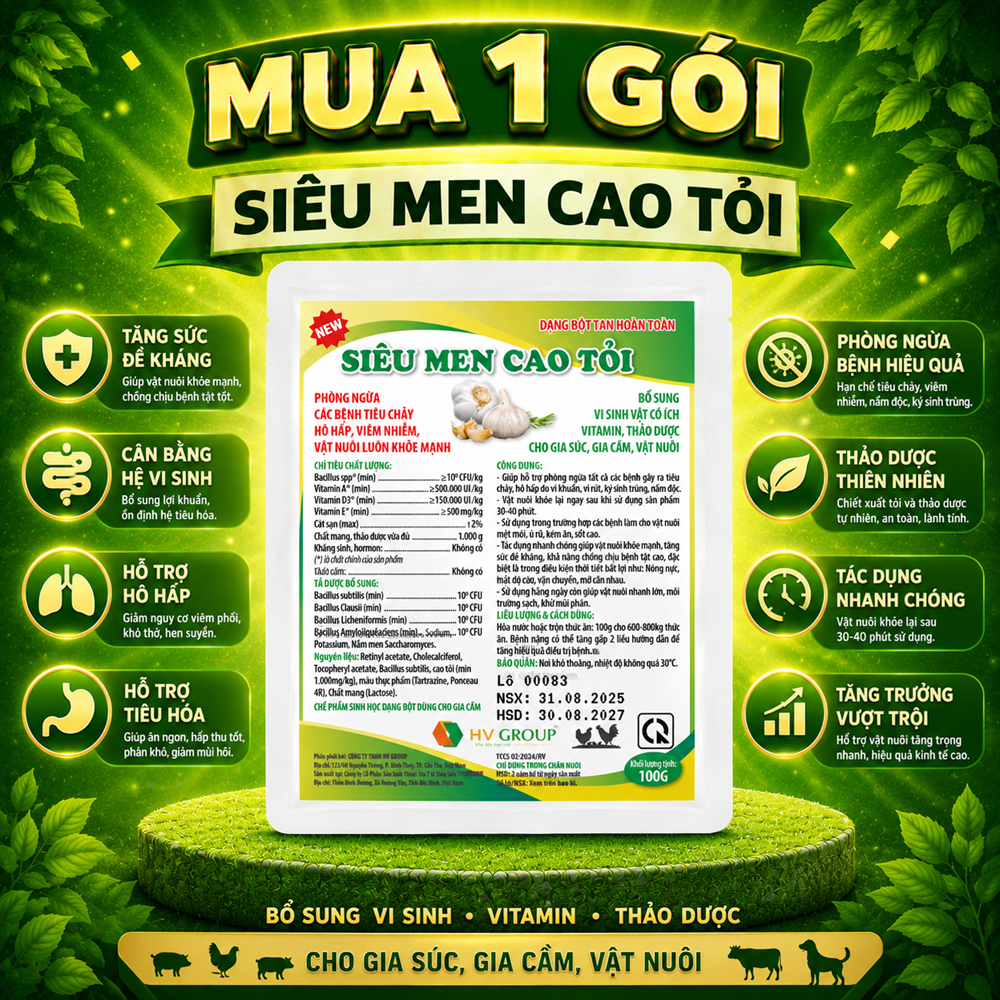 Men sống cao tỏi tăng đề kháng, phòng tiêu chảy - chướng diều, gà mau tiêu gói 100g