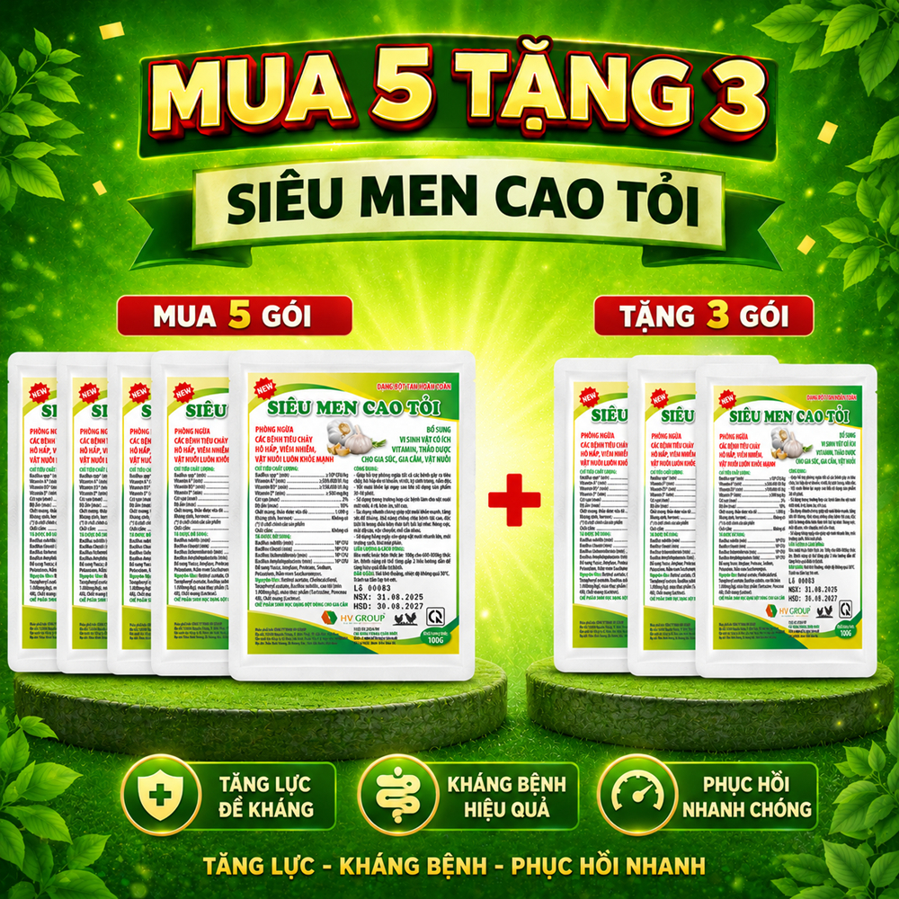 Men sống cao tỏi tăng đề kháng, phòng tiêu chảy - chướng diều, gà mau tiêu gói 100g