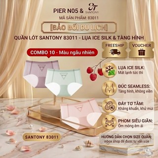 Quần Lót Tàng Hình Santony 83011 - Công Nghệ Ice Silk Tản Nhiệt, Đáy Tơ Tằm Kháng Khuẩn PIER N°5