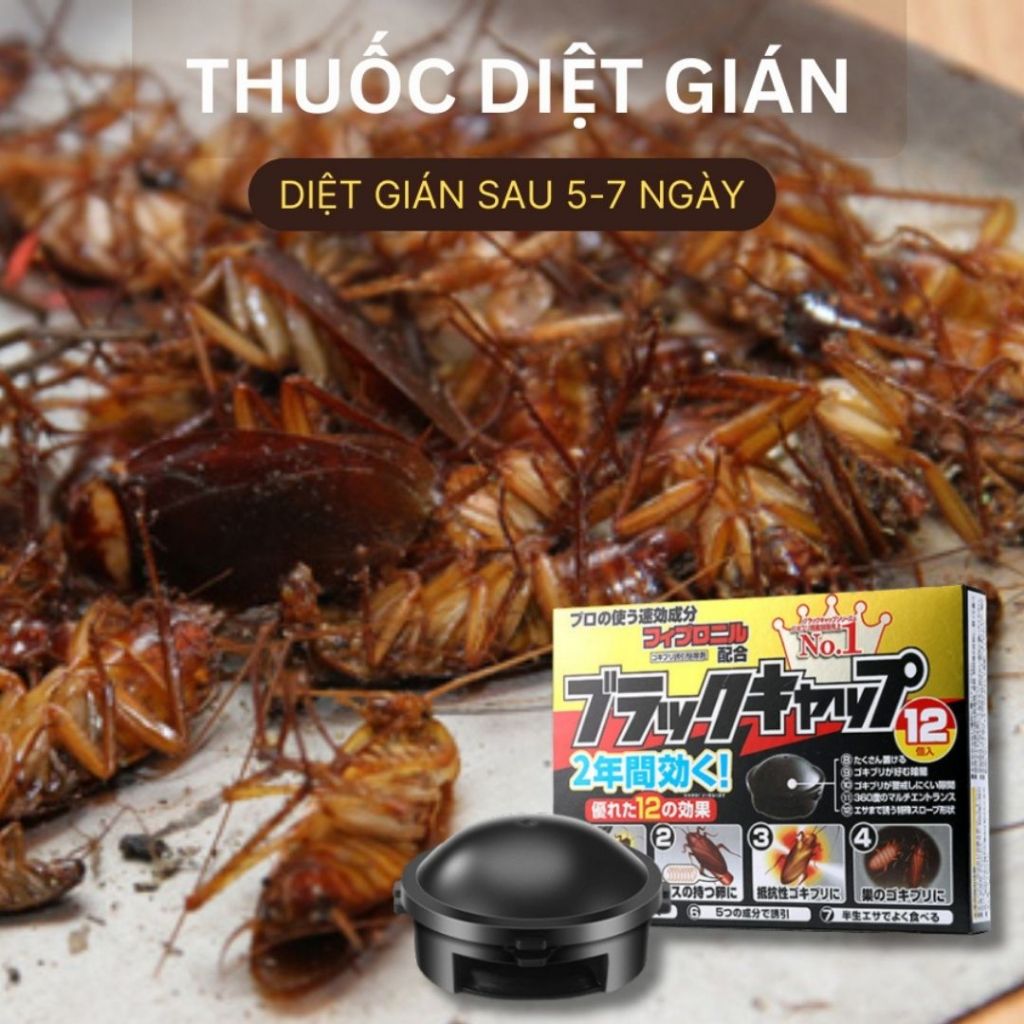 Hộp Bả Gián 12 Viên ALO HOME, Hộp Diệt Gián Dạng Viên Tiện Lợi Cho Gia Đình, Bẫy Gián Hộp Đen
